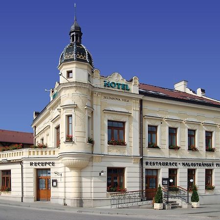 Hotel Jelinkova Vila Velké Meziříčí エクステリア 写真