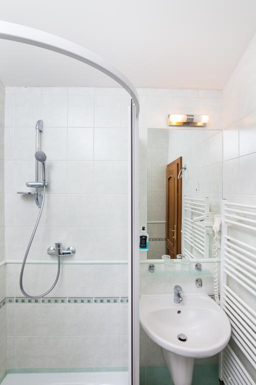 Hotel Jelinkova Vila Velké Meziříčí 部屋 写真