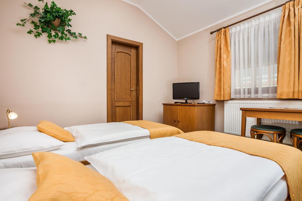 Hotel Jelinkova Vila Velké Meziříčí 部屋 写真