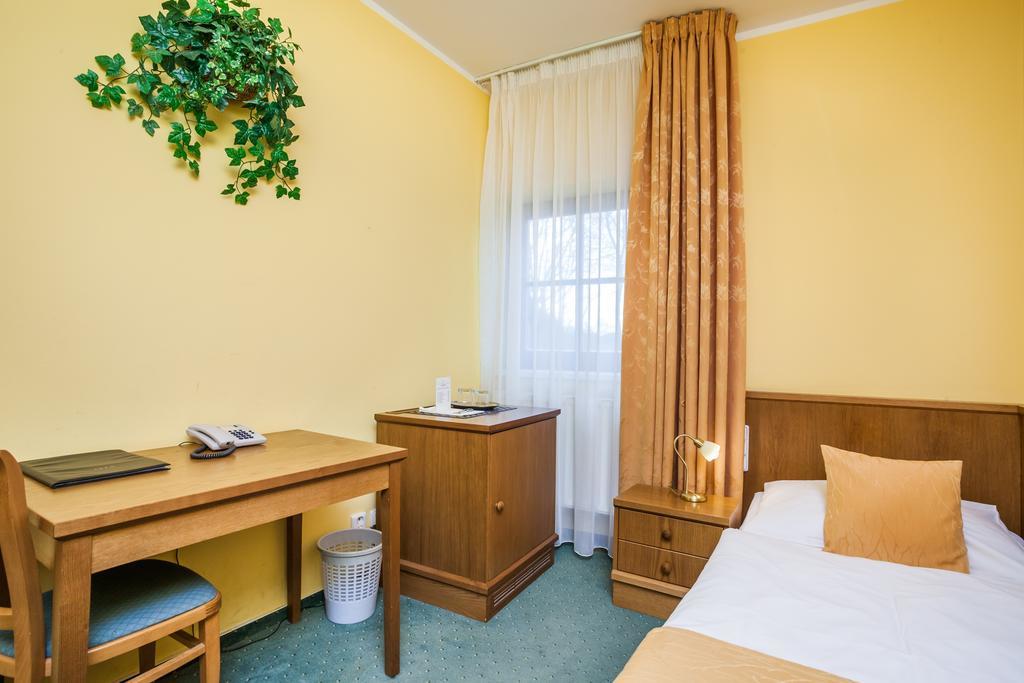 Hotel Jelinkova Vila Velké Meziříčí 部屋 写真