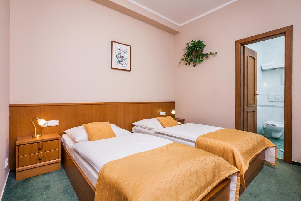 Hotel Jelinkova Vila Velké Meziříčí 部屋 写真