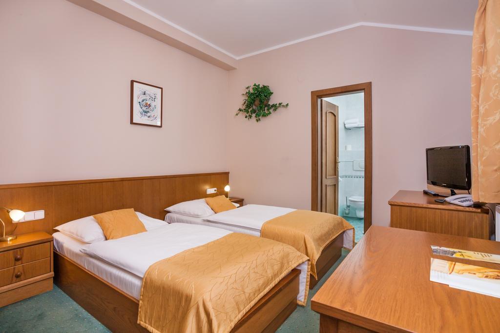 Hotel Jelinkova Vila Velké Meziříčí 部屋 写真