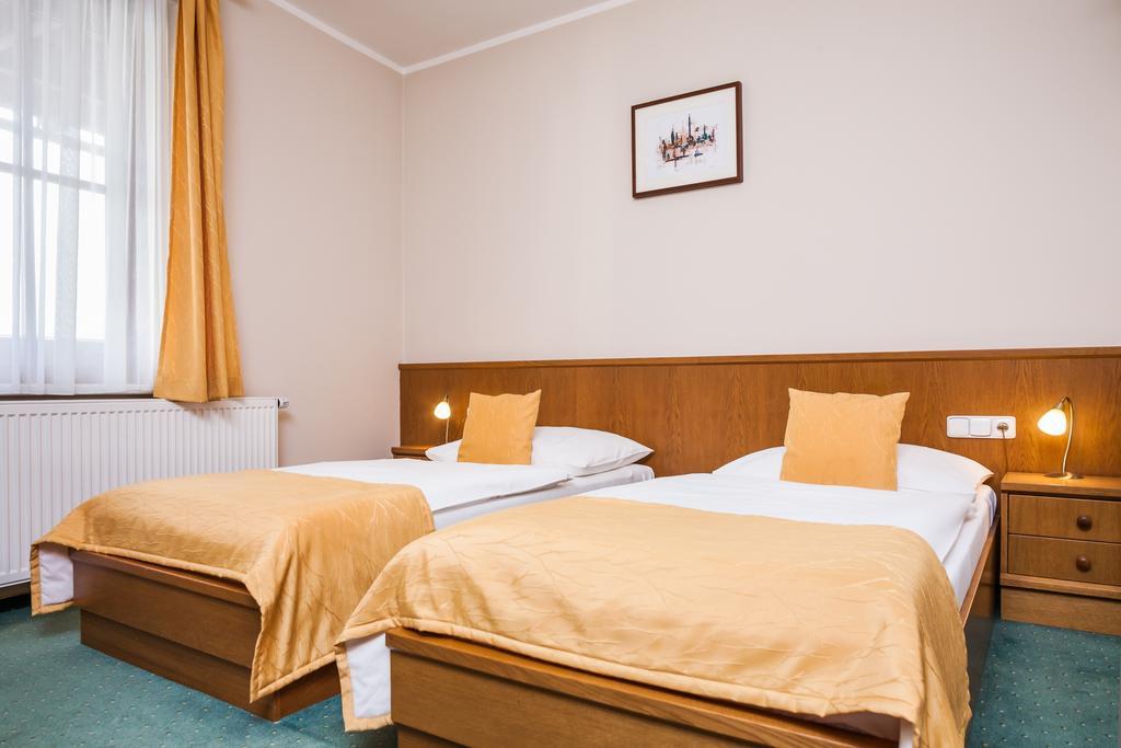 Hotel Jelinkova Vila Velké Meziříčí 部屋 写真